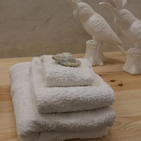 Maison Soledade 別荘 コロイオス